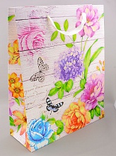 картинка Пакет Картон 320х260 мм от магазина Wolves