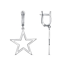 картинка Серьги 34015438Пл от магазина Wolves