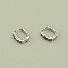 картинка Серьги 'Stainless Steel' Фианит (родий) от магазина Wolves