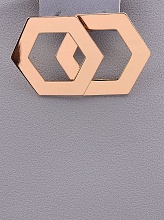 картинка Серьги 'FJ' от магазина Wolves