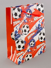 картинка Пакет Картон 230х170 мм от магазина Wolves