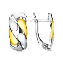 картинка Серьги 34014366-1 от магазина Wolves