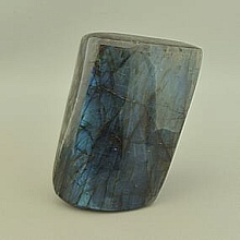 картинка Образец Лабрадор 110x70мм от магазина Wolves