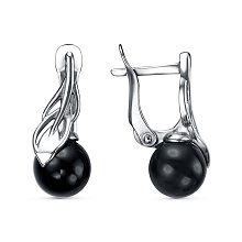 картинка Серьги 34614790А от магазина Wolves