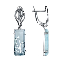 картинка Серьги 34615158Ак от магазина Wolves