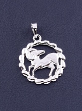 картинка Кулон  'XUPING' (родий) от магазина Wolves