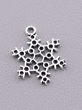 картинка Кулон Металл 20x15мм от магазина Wolves