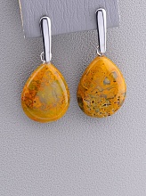 картинка Серьги 'Stainless Steel' Яшма от магазина Wolves