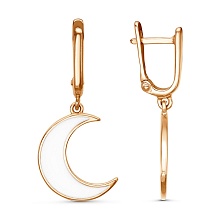 картинка Серьги 34014437 от магазина Wolves