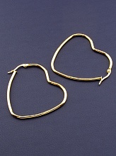 картинка Серьги 'FJ' 45х40мм от магазина Wolves