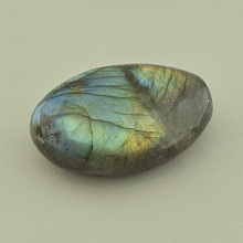 картинка Образец Лабрадор 65x45мм от магазина Wolves