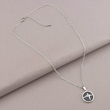 картинка Подвеска 'Stainless Steel' Эмаль Медицинская сталь 316L 45 см от магазина Wolves