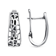 картинка Серьги 34012588 от магазина Wolves