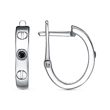 картинка Серьги 34615316Пла от магазина Wolves