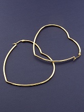 картинка Серьги 'FJ' 70х60мм от магазина Wolves