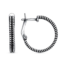 картинка Серьги 34014062 от магазина Wolves