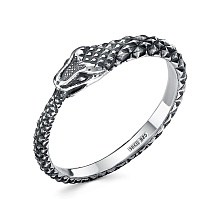 картинка Кольцо 24014538 от магазина Wolves