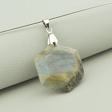 картинка Кулон Лабрадор 35x30мм от магазина Wolves