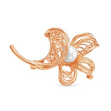 картинка Брошь 1438843К от магазина Wolves