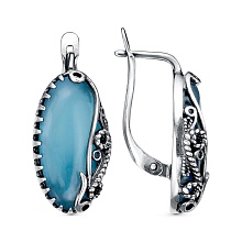 картинка Серьги 34313096Гх от магазина Wolves