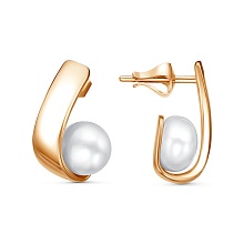 картинка Серьги 34314811К от магазина Wolves