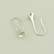 картинка Швензы Пара  24x6мм от магазина Wolves