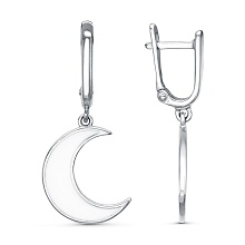 картинка Серьги 34014436С от магазина Wolves