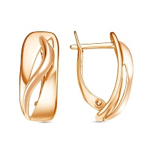 картинка Серьги 34013539 от магазина Wolves