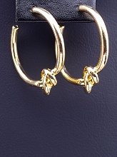 картинка Серьги 'FJ' 30х2мм от магазина Wolves