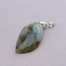 картинка Кулон Лабрадор 40x20мм от магазина Wolves