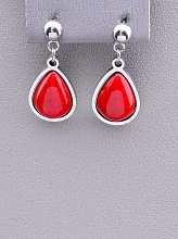 картинка Серьги 'Stainless Steel' Коралл от магазина Wolves