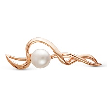 картинка Брошь 1437333К от магазина Wolves