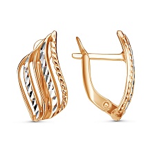 картинка Серьги 34015401-5 от магазина Wolves