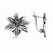 картинка Серьги 34016218 от магазина Wolves