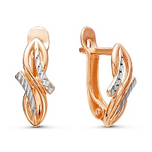 картинка Серьги 3408491-5 от магазина Wolves