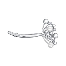 картинка Брошь 14814640Плк от магазина Wolves