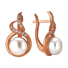 картинка Серьги 3332576Рк от магазина Wolves