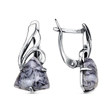 картинка Серьги 34310110Пн от магазина Wolves