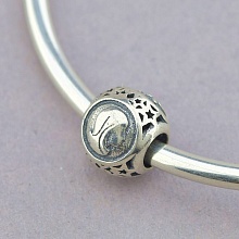 картинка Шарм 'Pandora style' от магазина Wolves