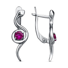 картинка Серьги 34815000-0 от магазина Wolves