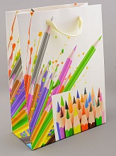 картинка Пакет Картон 230х170 мм от магазина Wolves