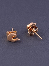 картинка Серьги 'Fashion' (позолота 18к) от магазина Wolves