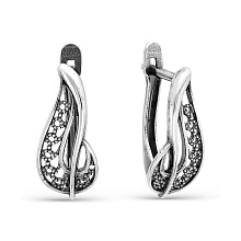 картинка Серьги 3407284 от магазина Wolves