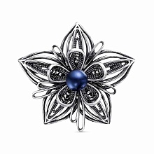 картинка Брошь 14613686Лд от магазина Wolves