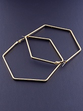 картинка Серьги 'Fashion' от магазина Wolves