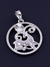 картинка Кулон  'XUPING' (родий) от магазина Wolves