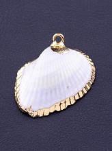 картинка Кулон из ракушки от магазина Wolves