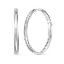 картинка Серьги 34011382С от магазина Wolves