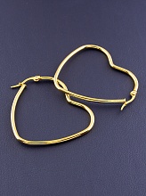 картинка Серьги 'Fashion' от магазина Wolves