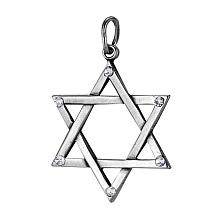 картинка Подвеска 546439Ч от магазина Wolves